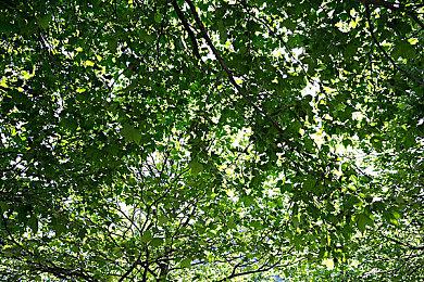 国产暗黑动作肉鸽游戏《冥界契约》正式定档，6月19日EA发售