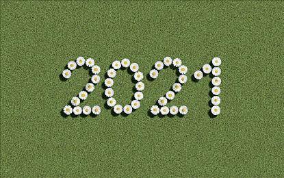 梦世界冒险！3D超现实解谜游戏《物之梦》亮相Steam 2月新品节